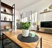 Obývací pokoj v 1-pokojovém bytě s podlahou s dřevěným dekorem a dekoracemi.