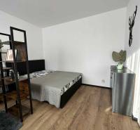 Ložnice v jednopokojovém bytě s podlahou s dřevěným dekorem a minimalistickým zařízením.