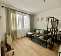 Interiér 1-pokojového bytu s pohovkou, stolkem a podlahou s dřevěným dekorem.