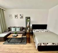 Obývací pokoj v jednopokojovém bytě s pohovkou, postelí a dekoracemi, podlaha s dřevěným dekorem.