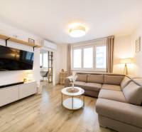 Obývací pokoj v 2pokojovém bytě s pohodlnou sedačkou a podlahou s dřevěným dekorem.