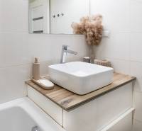 Koupelna v 2-pokojovém bytě s umyvadlem, podlahou s dřevěným dekorem a dekorativním rostlinným aranžmá.