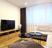 Obývací pokoj v 3-pokojovém bytě s pohovkou, televizí a stolkem na podlaze s dřevěným dekorem.