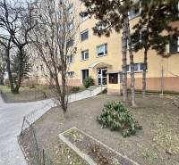 Bytový dům v Bratislavě - Louky, okolí se stromy a keřem před vchodem.