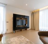 Obývací pokoj v 2pokojovém bytě se světlými závěsy a televizní stěnou.
