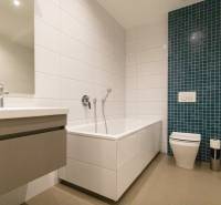 Koupelna v 2-pokojovém bytě s vanou, umyvadlem a zeleným obkladačkovým panelem.