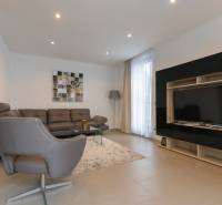 Obývací pokoj dvoupokojového bytu s pohovkou, křeslem, stolem, televizí a kobercem.