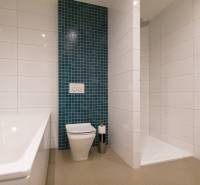 Koupelna se sprchovým koutem a vanou v 2-pokojovém bytě.