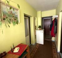 Chodba v rodinném domě se žlutými stěnami, rostlinou, zrcadlem a kobercovou podlahou.