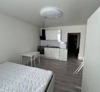 Garsonka s bílou kuchyňskou linkou a podlahou s dřevěným dekorem, postelí a stolem.