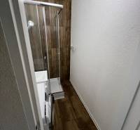 Koupelna v garsonce s podlahou s dřevěným dekorem, sprchovým koutem a pračkou.