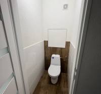 Toaleta s podlahou s dřevěným dekorem v garsonce.