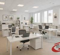 Kanceláře s podlahou s dřevěným dekorem, psacími stoly, židlemi a rostlinami.