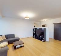 Obývací pokoj s pohovkou, podlaha s dřevěným dekorem, televize, 4pokojový byt.