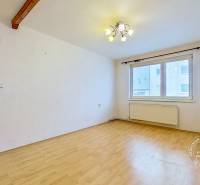 Pokoj s podlahou s dřevěným dekorem a stropním svítidlem ve 3-pokojovém bytě.