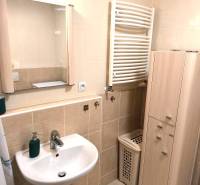 Koupelna s umyvadlem, zrcadlem a skříní v 2pokojovém bytě.