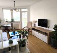 Obývací pokoj s podlahou s dřevěným dekorem, televizorem a rostlinami v 2pokojovém bytě.