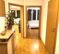 Chodba 2pokojového bytu s podlahou s dřevěným dekorem, pokojovými rostlinami a nábytkem.