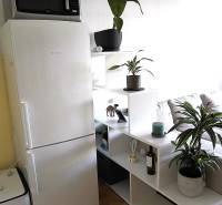 Interiér 2-pokojového bytu se stylovým bílým regálem a podlahou s dřevěným dekorem.