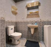 Koupelna v rodinném domě s obkladem, toaletou, umyvadlem a zrcadlem.