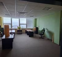 Kanceláře se stoly, židlemi a rostlinami na podlaze s dřevěným dekorem.