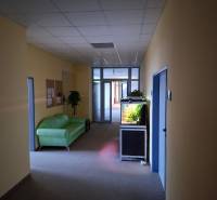 Kanceláře s akváriem, zelenou pohovkou a rostlinou.