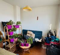 Pokoj v rodinném domě s rostlinami, sedačkou a stolkem před velkým oknem.