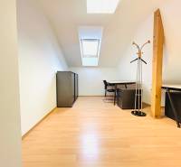 Kanceláře s podlahou s dřevěným dekorem, světlík, nábytek a věšák na oblečení.