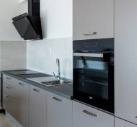 Kuchyně s lineární kuchyňskou linkou a vestavnou troubou ve 3pokojovém bytě.