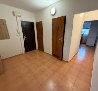 Vstupní hala ve 3-pokojovém bytě s dlažbou a nábytkem v dřevěném dekoru.