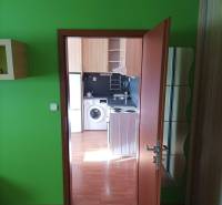 1-pokojový byt se světlými zelenými stěnami a podlahou s dřevěným dekorem.