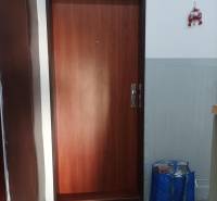 Dřevěné dveře vedoucí do 1-pokojového bytu s vstupní rohožkou.