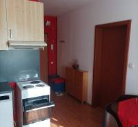 Kuchyně v 1-pokojovém bytě s podlahou s dřevěným dekorem.