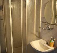 Koupelna v rodinném domě s rohovým sprchovým koutem a umyvadlem.