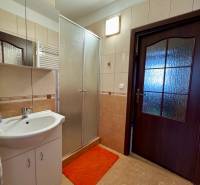 Koupelna se sprchovým koutem a umyvadlem v 3-pokojovém bytě, dlaždice a zrcadlo.