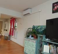 Obývací pokoj s podlahou s dřevěným dekorem, televizorem, klimatizací a dekoračními prvky.