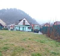 Zahrada u rodinného domu na Hřbitovní ulici v Divíně, s výhledem na les.