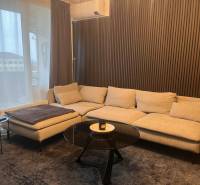 Světlá pohovka v 2-pokojovém bytě s dřevěným dekorem na stěně a stolkem.