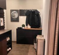 Předsíň v 2-pokojovém bytě s praktickým nábytkem a dekorací měsíce na stěně.