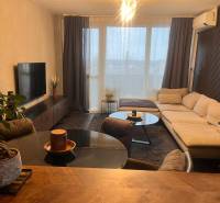 Obývací pokoj s podlahou s dřevěným dekorem, sedačkou a televizí v 2-pokojovém bytě.