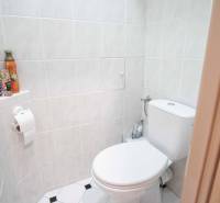 Toaleta s keramickými obklady, držák na toaletní papír, dekorativní doplňky, 4pokojový byt.
