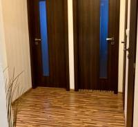 Vstupní chodba se dvěma dveřmi, podlahou s dřevěným dekorem a rostlinou.