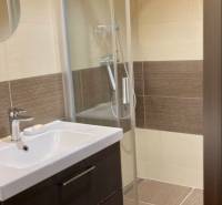 Koupelna s umyvadlem, sprchovým koutem a hnědými stěnovými obklady v 3-pokojovém bytě.