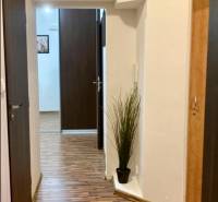 Chodba ve 3-pokojovém bytě s podlahou s dřevěným dekorem a vestavěnými skříněmi.