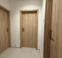 Chodba se třemi dveřmi, dlažbou a dveřmi s dřevěným dekorem, 1-pokojový byt.