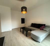 Obývací pokoj s podlahou s dřevěným dekorem, rozkládací sedačkou a minimalistickým nábytkem v 1-pokojovém bytě.