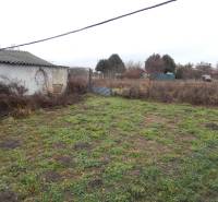 Zahrada u rodinného domu v Kravanoch nad Dunajem s travnatou a hliněnou plochou.