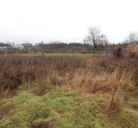 Travnatý pozemek s keři a stromy v Kravanoch nad Dunajem, ideální pro rodinný dům.