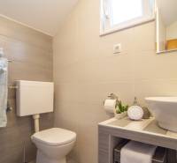 Koupelna v rekreačním apartmánu se sprchou, umyvadlem, toaletou a drobnými dekoracemi.