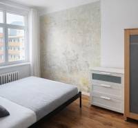 Ložnice v 2pokojovém bytě s dřevěným dekorem a originální stěnou.